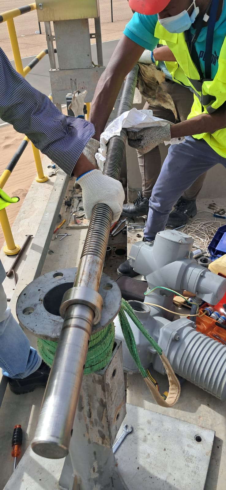 Novaroots Project 40